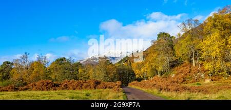 Glen Strathfarrar in Autumn. A panoramic view of the Glen with single track road, blue sky, snow topped munro. golden leaves and bracken.  Scottish Hi Stock Photo