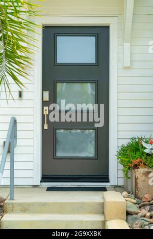 Gray front door with glass panes Stock Photo