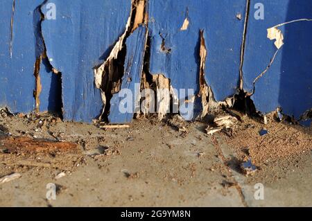 Blue old and weathered wooden planks Stock Photo