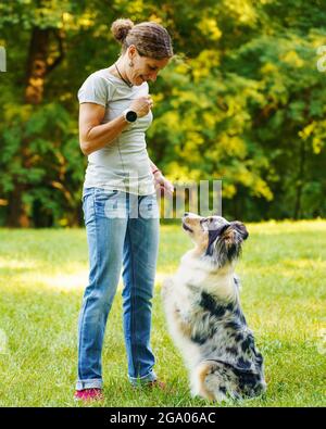 Woman teaching adorable smart dog Australian Shepherd new commands during obedience training in nature Stock Photo