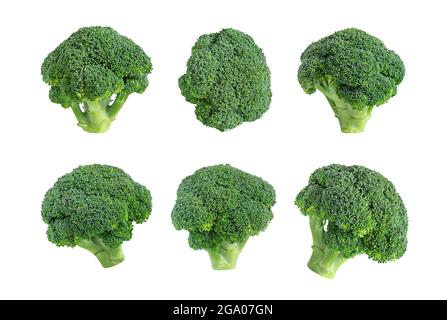 Broccoli set isolated on a white background. Fresh broccoli collection. Healthy vegetables closeup. Stock Photo