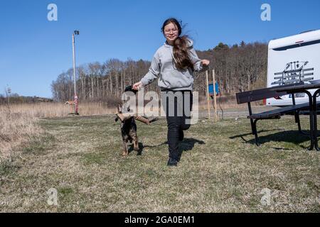 A teenage girl training a German Shepherd puppy. Working line breed Stock Photo