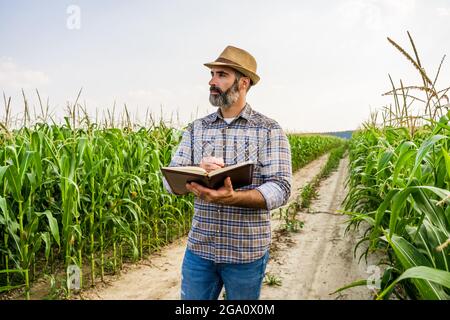 Agronomist is standing in growing corn field. He is examining corn crops after successful sowing. Stock Photo