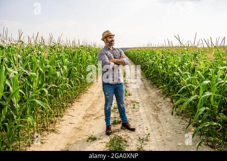 Proud farmer is standing in his growing corn field. He is satisfied because of successful season. Stock Photo