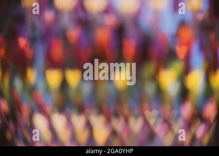 Blurred background of colorful heart-shaped lights Stock Photo