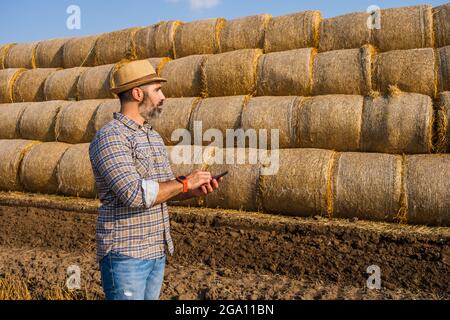 Farmer is standing beside bales of hay. He is examining straw after successful harvesting. Stock Photo