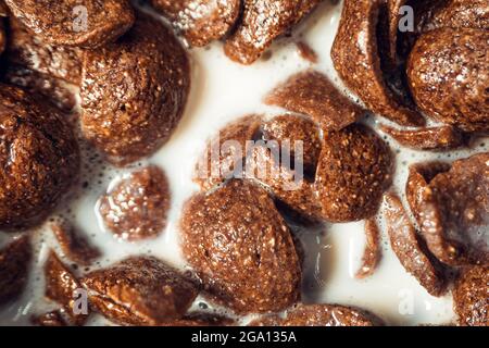Closeup of Chocolate cereal with selective focus. Shallow depth field. Healthy food concept Stock Photo