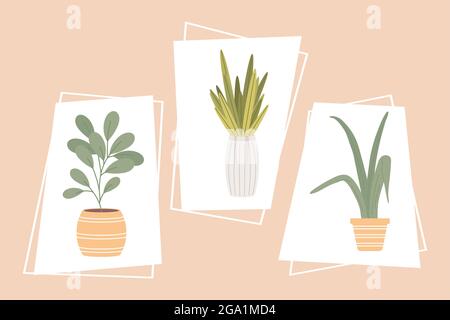 Floral and nature plants set inside pots in frames Stock Vector