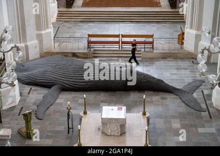 Greifswald, Germany. 28th July, 2021. Gil Shachar, an artist from Isarel, is setting up a whale sculpture of a humpback whale in St. Nicholas Cathedral. The 14-metre-long whale sculpture is a cast of an animal washed up in South Africa in 2018. The art project in Greifswald is intended to make people think. On it, for example, bite marks from sharks or also cuts from ship's propellers can be seen. The sculpture has already been exhibited in Berlin and Bochum. Credit: Stefan Sauer/dpa/Alamy Live News Stock Photo