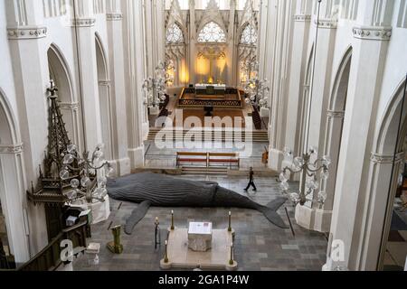 Greifswald, Germany. 28th July, 2021. Gil Shachar, an artist from Isarel, is setting up a whale sculpture of a humpback whale in St. Nicholas Cathedral. The 14-metre-long whale sculpture is a cast of an animal washed up in South Africa in 2018. The art project in Greifswald is intended to make people think. On it, for example, bite marks from sharks or also cuts from ship's propellers can be seen. The sculpture has already been exhibited in Berlin and Bochum. Credit: Stefan Sauer/dpa/Alamy Live News Stock Photo