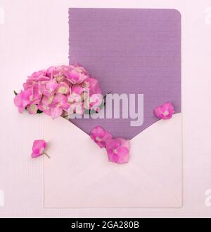 Envelope with a bouquet of pink hydrangea with copy space for design. Stock Photo