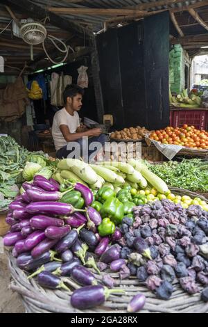 A vendor sits in a stall selling fresh produce in a vegetable market in Varanasi on the banks of the Ganges; Varanasi, Uttar Pradesh, India Stock Photo