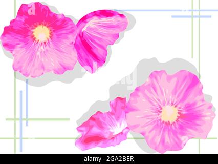 Verbascum flower background. spring flovers isolated on white background Stock Vector