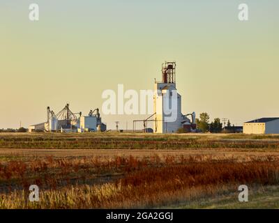 Golden sunlight reflected on the automated grain elevator and storage silos with fields of grass stubble in the foreground Stock Photo