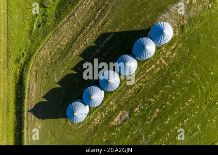 Aerial view directly overhead of large metal grain storage bins in a green field with long shadows; Alberta, Canada Stock Photo