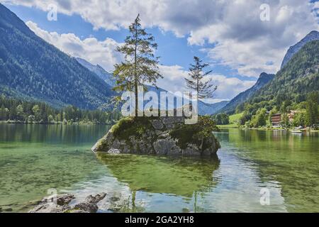 Norway spruce (Picea abies) tree on a small, rock island in Lake Hintersee, Bavarian Alps; Berchtesgadener Land, Ramsau, Bavaria, Germany Stock Photo