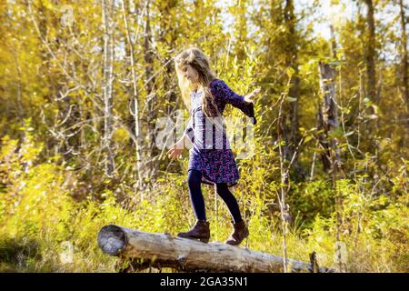 A young girl with long hair walks on a log in a city park during the fall season; Edmonton, Alberta, Canada Stock Photo