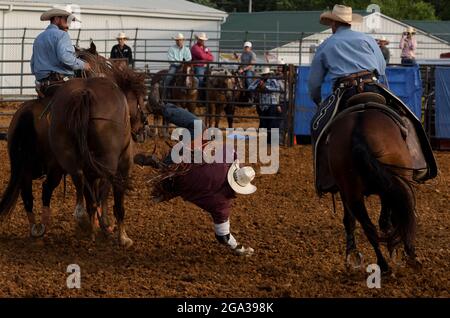 July 3, 2021; Bloomington, Indiana: A bareback rider is bucked off a horse during the 3 Bar J Rodeo, July 2nd at the Monroe County Fair. Stock Photo