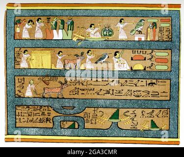 Occupations of Ani in Elysian Fields. This scene is taken from the Papyrus of Ani, a copy of the Egyptian Book of the Dead that dates to the 19th Dynasty. It shows Ani worshiping. The god Thoth introduces Ani into the presence of three gods. Ani worships the sun god Re before two altars and carries lotus flowers. It also shows him plowing and reaping in the Fields of the Dead, through which water flows. Stock Photo