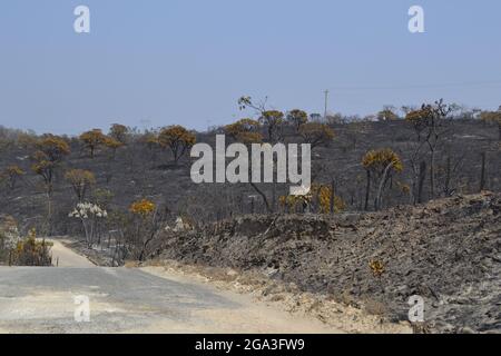 Sober vegetation around dust roads in Capitólio, MG - Brazil. Stock Photo