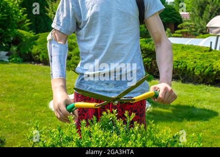 Man with an amputated arm and a prosthesis is trimming bushes in a garden Stock Photo