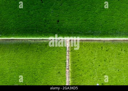 Glazed green mosaic ceramic tiles texture background  Stock Photo