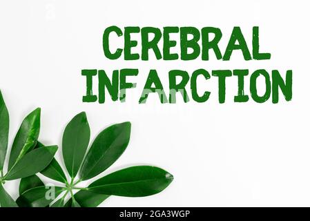Text caption presenting Cerebral Infarction. Conceptual photo focal brain necrosis due to complete and long ischemia Saving Environment Ideas And Stock Photo