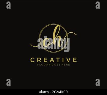 OH Feminine logo beauty monogram and elegant logo design, handwriting logo of initial signature, wedding, fashion, floral and botanical with creative Stock Vector