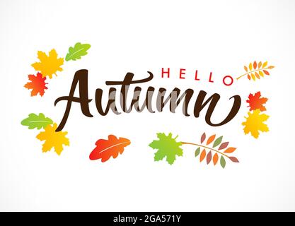 Hello Autumn vector illustration, calligraphy phrase decorated with beautiful bright leaves on light background. Design for greeting card, Sale banner Stock Vector