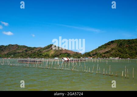 Thailand: Fish farms play an important role for communities near Ko Yo (Yo Island), Thale Sap Songkhla (Songkhla Lake). Songkhla was the seat of an old Malay Kingdom with heavy Srivijayan influence. In ancient times (200 CE - 1400 CE), Songkhla formed the northern extremity of the Malay Kingdom of Langkasuka. The city-state then became a tributary of Nakhon Si Thammarat, suffering damage during several attempts to gain independence. Stock Photo