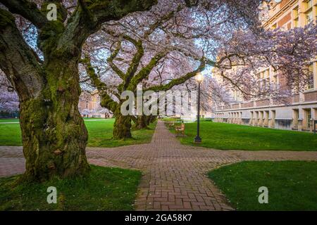 The University of Washington (commonly referred to as Washington or UDub) is a public research university in Seattle, Washington, United States Stock Photo