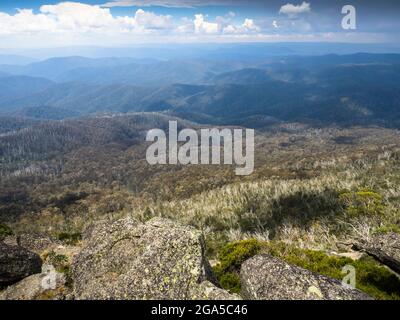 Mt Wills (1747m) is a popular bushwalking destination in the Victorian Alps,  Australia Stock Photo