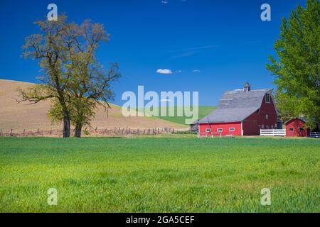 Barn building in the agricultural Palouse area of eastern Washington state. The Palouse is a region of the northwestern United States, encompassing pa Stock Photo