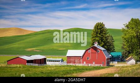 Farm buildings in the agricultural Palouse area of eastern Washington state. The Palouse is a region of the northwestern United States, encompassing p Stock Photo