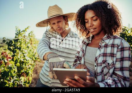 Caucasian male farmer pointing to mixed race female co worker discussing plants on digital tablet while working in vineyards Stock Photo