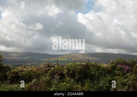 Dark, moody clouds gathering over a Welsh rolling landscape, with vegetation and heather growing in the forefront Stock Photo