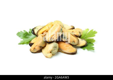 Fresh mussels seafood isolated on white background Stock Photo