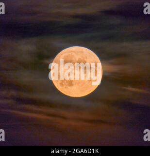 Buck or Hay moon as seen from Glasgow, Scotland as it rises just after sunset. The setting sun illuminates the clouds behind the moon. Stock Photo