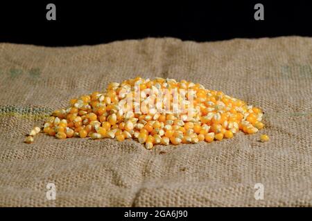 Heap of corn on wicker floor with side light front of black background Stock Photo