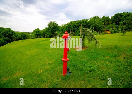 Fire Hydrant in the forest. Protection of the forest by fires. Stock Photo