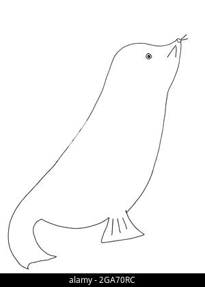 cute cartoon monk seal animal illustration Stock Photo