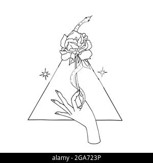 Vintage Mystic hand holding rose with a snake coiled around the flower with triangle on background Stock Vector