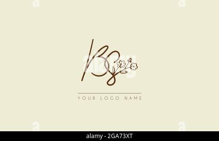 Initial letter BS Or SB  Signature handwritten wedding botanical floral icon logo vector  design  illustration Stock Vector