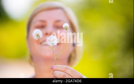 Close up photo of a happy woman blonde holding in front of the camera dandelion sprig being in nature to breath fresh air. Stock Photo