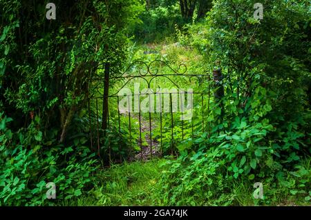 Wrought iron gate marking the entrance into an allotment. Stock Photo