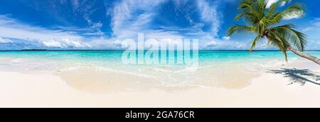 panorama view on tropical beautiful paradise beach with coco palm tree and turquoise blue clear water. tourism vacation and relaxation wide background Stock Photo