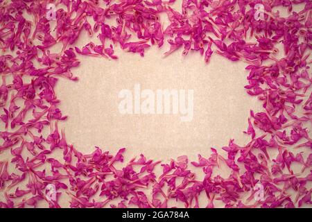 grunge pastel texture or background with small pink spring flowers in frame shape Stock Photo