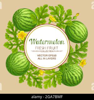 watermelon vector frame on color background Stock Vector