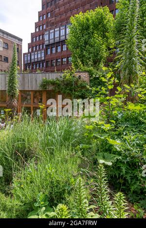 The Phoenix community garden is a tranquil haven in central London. Between Charing Cross Rd and Shaftesbury Av, established in 1984. Stock Photo