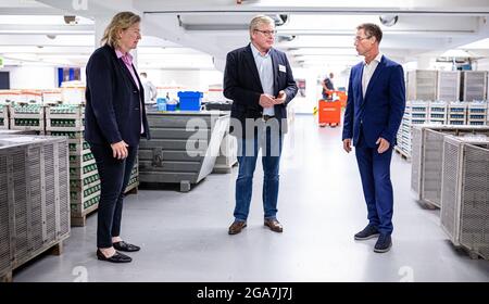 Hameln, Germany. 29th July, 2021. Bernd Althusmann (M, CDU), Minister of Economics of Lower Saxony, is guided through the Hameln plant of Siegfried AG by Sabine Brand (l), Managing Director of Siegfried Hameln GmbH, and Torsten Förster (r), Managing Director of Siegfried Hameln GmbH. The company's production site in Hameln is also where the Corona vaccine developed by Biontech and Pfizer is filled. Credit: Moritz Frankenberg/dpa/Alamy Live News Stock Photo